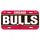 Chicago Bulls License Plate Plastic - Special Order - 0.25