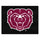 Fanmats - Missouri State University All-Star Mat 33.75''x42.5''