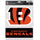 Cincinnati Bengals Decal Multi Use Fan 2 Pack - WinCraft
