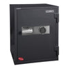 Data Safe Gray - Hollon Safe