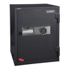 Data Safe Gray - Hollon Safe