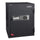 Data Safe Gray - Hollon Safe