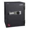 Data Safe Gray - Hollon Safe
