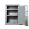 TL-30 Rated Safe Gray - Hollon Safe