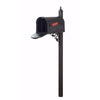 Hummingbird Curbside Mailbox with Albion Mailbox Post - Special Lite Products