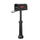 Hummingbird Curbside Mailbox with Locking Insert and Bradford Mailbox Post - Special Lite Products