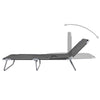 Sunlounger Grey Powder-coated steel 74.4 x 22.8 x 10.6 in - vidaXL