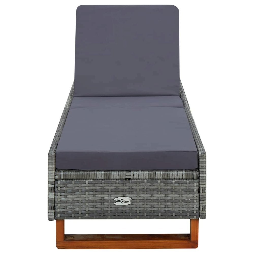 Sunbed Grey, Dark Grey - vidaXL