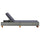 Sunbed Grey, Dark Grey - vidaXL