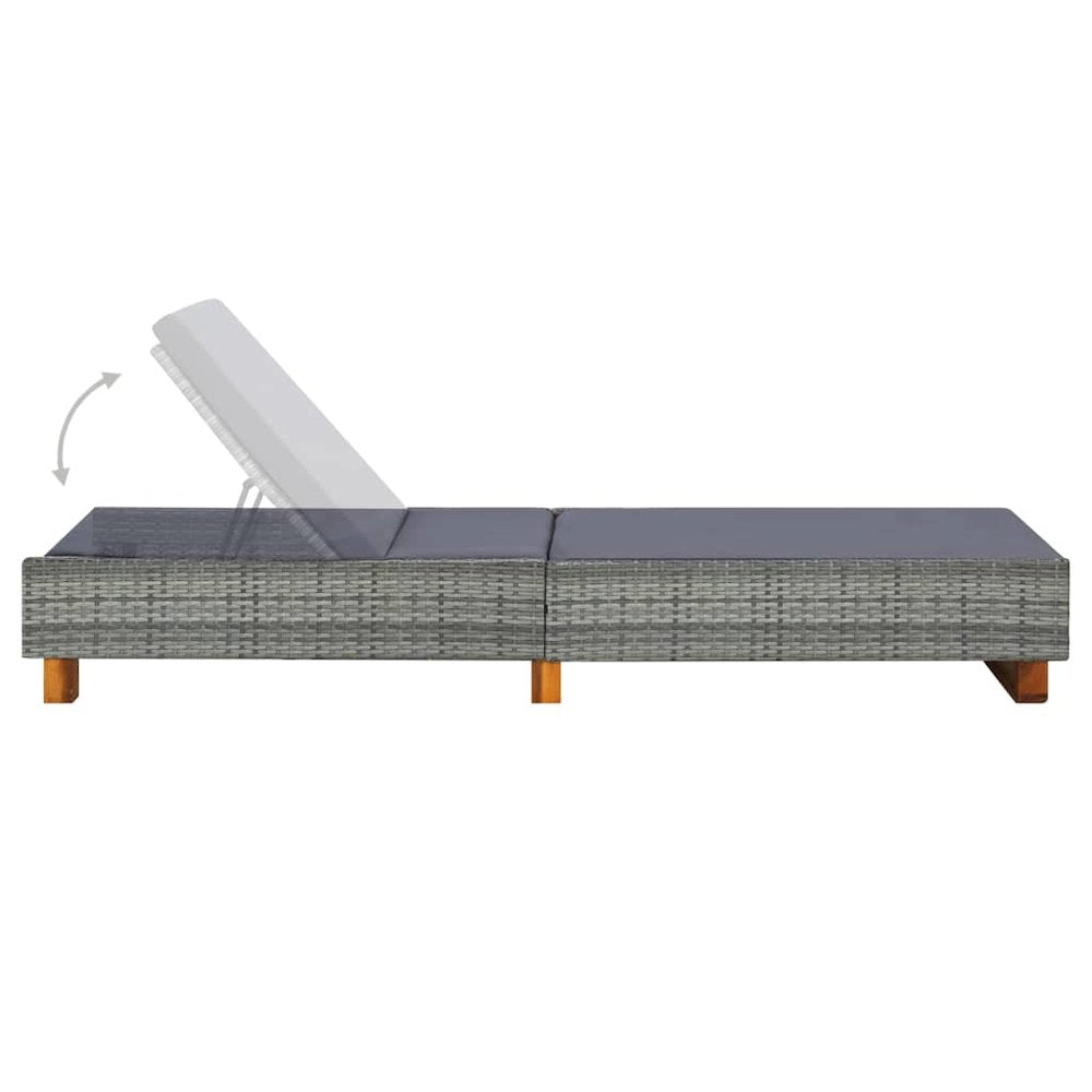 Sunbed Grey, Dark Grey - vidaXL