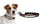 Baltimore Ravens Pet Collar Leather Size Small CO - Gamewear
