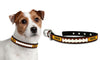 Missouri Tigers Dog Collar - Small - Gamewear