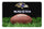 Baltimore Ravens Classic NFL Football Pet Bowl Mat - L - Gamewear