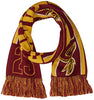Cleveland Cavaliers Lebron James Scarf - Player Image -