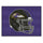 Fanmats - NFL - Baltimore Ravens All-Star Mat 33.75''x42.5''