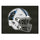 Fanmats - NFL - Carolina Panthers All-Star Mat 33.75''x42.5''