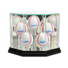 Octagon 5 Baseball Display Case with Black Moulding