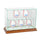 5 Upright Baseball Display Case with Walnut Moulding