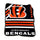 Cincinnati Bengals Blanket 50x60 Raschel Throw - Logo Brands