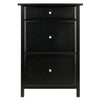 Delta File Cabinet Black - Winsome Wood