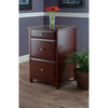 Delta File Cabinet Walnut - Winsome Wood