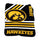 Iowa Hawkeyes Blanket 50x60 Raschel Throw - Logo Brands