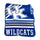Kentucky Wildcats Blanket 50x60 Raschel Throw - Logo Brands