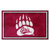 Fanmats - University of Montana 4x6 Rug 44''x71''