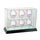 6 Upright Baseball Display Case with Black Moulding