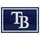 Fanmats - MLB - Tampa Bay Rays 5x8 Rug 59.5''x88''