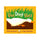 ONE DUCK STUCK BIG BOOK - CANDLEWICK PRESS