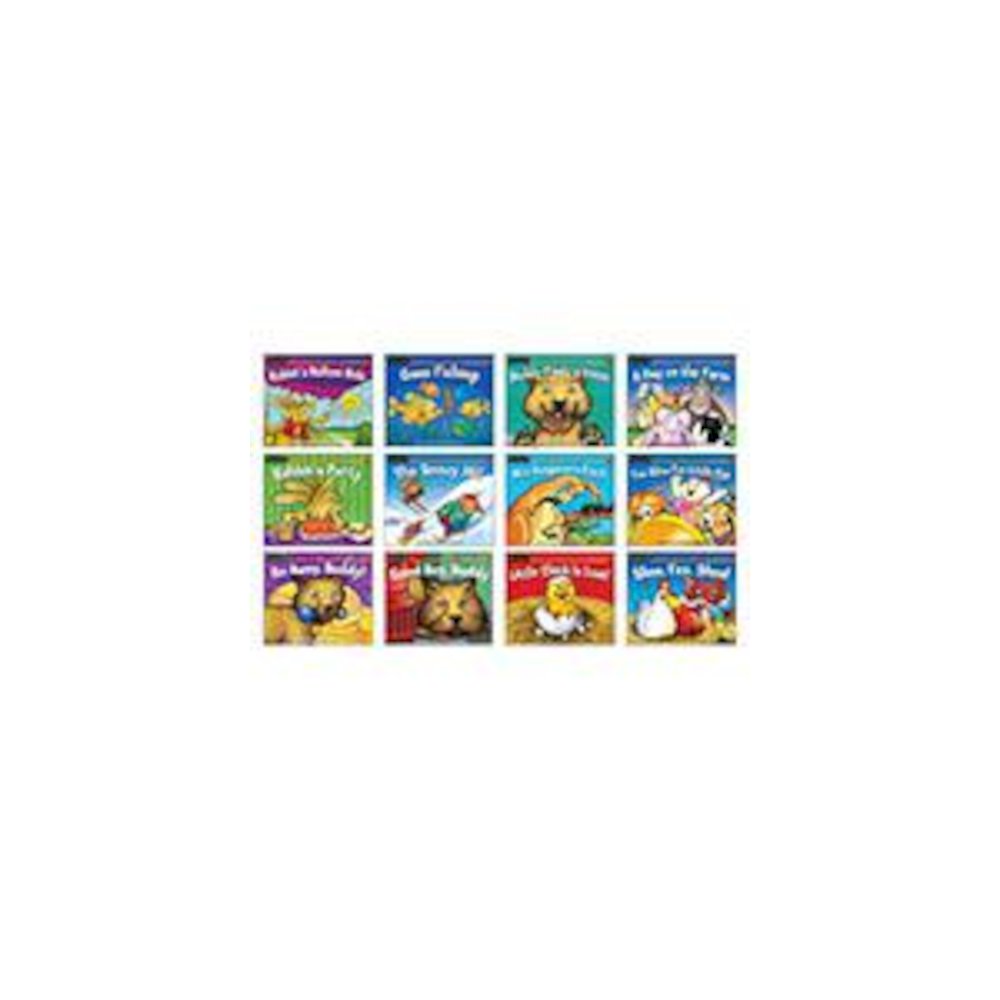 RISING READERS LEVELED BOOKS FICTION SET - NEWMARK LEARNING
