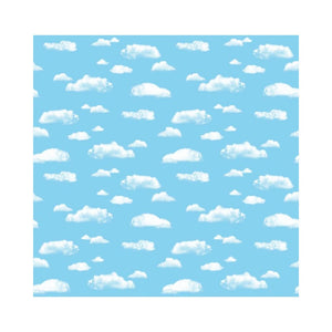 FADELESS 48X12 CLOUD SOLD 4RLS/CTN - PACON CORPORATION