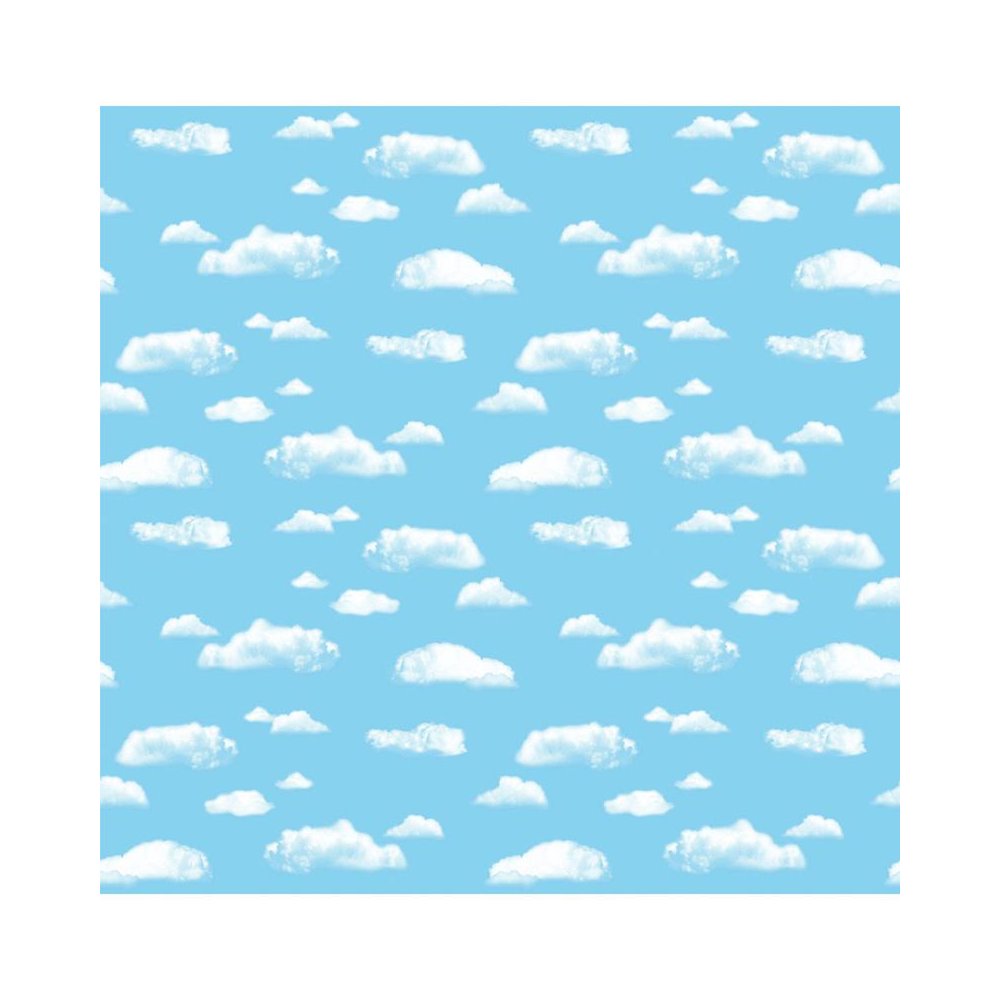 FADELESS 48X12 CLOUD SOLD 4RLS/CTN - PACON CORPORATION