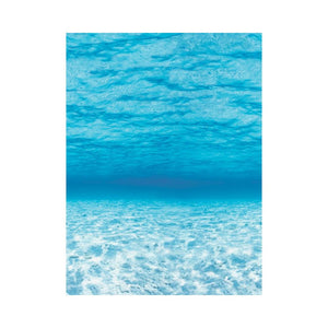 FADELESS 48X12 UNDER THE SEA 4RLS PER CARTON - PACON CORPORATION
