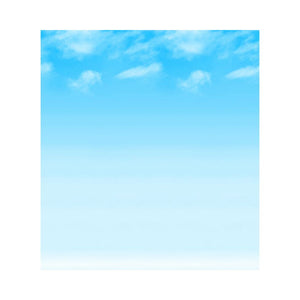 FADELESS 48X12 WISPY CLOUDS 4RLS PER CARTON - PACON CORPORATION