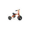 TRICYCLE MEDIUM AGE 3-6 - WINTHER