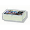 50-count Hinged Plastic Case (100 per case) - Ultra Pro