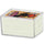 100-count Hinged Plastic Case (100 per case) - Ultra Pro