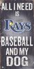 Tampa Bay Rays Sign Wood 6x12 Baseball and Dog Design Special Order - Fan Creations