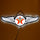 Slim Led - Texaco Wings Slim Led Sign