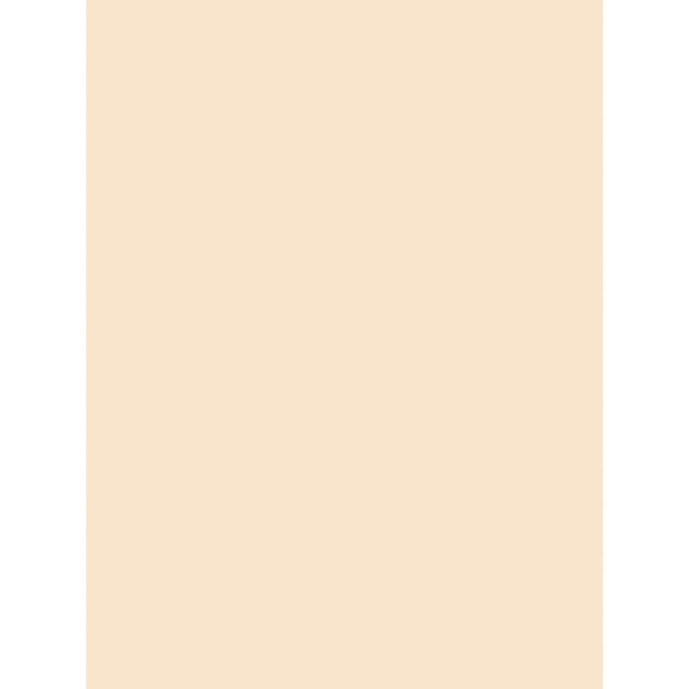 Medium Weight Tagboard, Manila, 18'' x 24'', 100 Sheets - Pacon