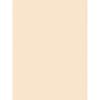 Medium Weight Tagboard, Manila, 18'' x 24'', 100 Sheets - Pacon