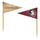 Florida State Seminoles Toothpicks 36 Piece Pennant Style FanPicks -