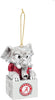 Alabama Crimson Tide Ornament Tiki Design - Evergreen