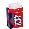 St. Louis Cardinals Gift Bag Medium - Special Order - Forever Collectibles