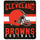 Cleveland Browns Blanket 50x60 Fleece Singular Design - 8