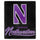 Northwestern Wildcats Blanket 50x60 Raschel Signature Design - Northwest