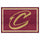 Fanmats - NBA - Cleveland Cavaliers 5x8 Rug 59.5''x88''