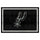 Fanmats - NBA - San Antonio Spurs 5x8 Rug 59.5''x88''